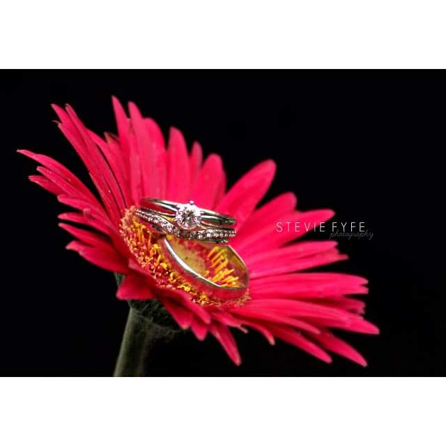 photo by Stevie Fyfe